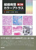 ISBN 9784260021432 組織病理カラーアトラス   第２版/医学書院/坂本穆彦 医学書院 本・雑誌・コミック 画像