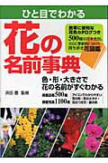 ISBN 9784278044409 ひと目でわかる花の名前事典 色・形・大きさで花の名前がすぐわかる  /大泉書店/浜田豊 大泉書店 本・雑誌・コミック 画像