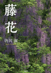 ISBN 9784286189062 藤花/文芸社/唐沢淑 文芸社 本・雑誌・コミック 画像