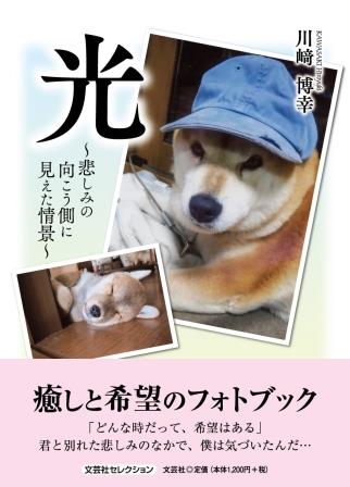 ISBN 9784286234724 光   /文芸社/川〓博幸 文芸社 本・雑誌・コミック 画像