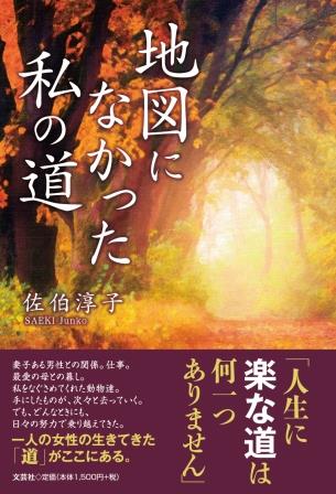 ISBN 9784286290447 地図になかった私の道/文芸社/佐伯淳子 文芸社 本・雑誌・コミック 画像