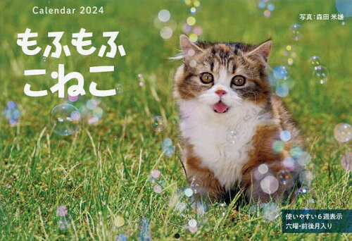 ISBN 9784295017103 もふもふこねこカレンダー ２０２４/インプレス/森田米雄 本・雑誌・コミック 画像