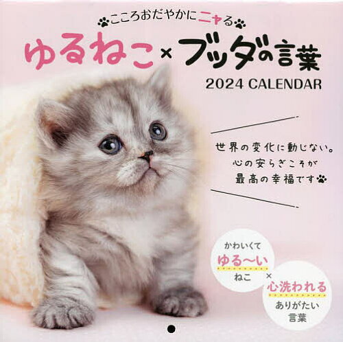 ISBN 9784295017134 こころおだやかにニャるゆるねこ×ブッダの言葉カレンダー 2024/インプレス/アルボムッレ・スマナサーラ 本・雑誌・コミック 画像