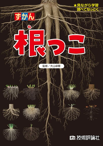 ISBN 9784297136536 根っこ 見ながら学習調べてなっとく/技術評論社/大山卓爾 本・雑誌・コミック 画像