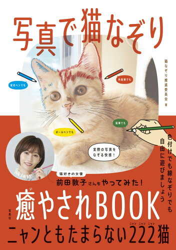 ISBN 9784299024190 写真で猫なぞり癒やされＢＯＯＫ ニャンともたまらない２２２猫  /宝島社/猫なぞり推進委員会 本・雑誌・コミック 画像