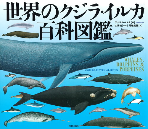 ISBN 9784309256788 世界のクジラ・イルカ百科図鑑   /河出書房新社/アナリサ・ベルタ 河出書房新社 本・雑誌・コミック 画像