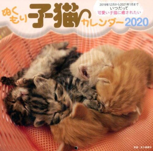 ISBN 9784331253397 ぬくもり子猫カレンダー  ２０２０ /廣済堂出版 廣済堂出版 本・雑誌・コミック 画像