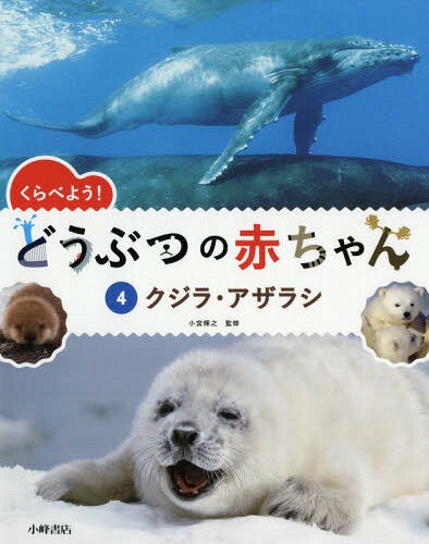 ISBN 9784338316040 くらべよう！どうぶつの赤ちゃん 図書館用堅牢製本 ４ /小峰書店/小宮輝之 小峰書店 本・雑誌・コミック 画像