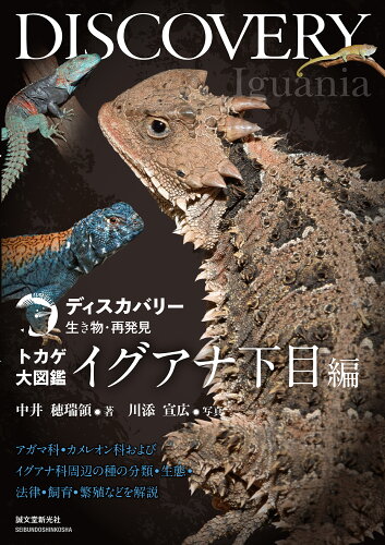 ISBN 9784416623732 トカゲ大図鑑 イグアナ下目編 アガマ科・カメレオン科およびイグアナ科周辺の種の分/誠文堂新光社/中井穂瑞領 誠文堂新光社 本・雑誌・コミック 画像