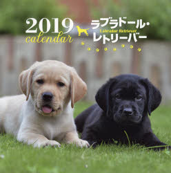 ISBN 9784416918258 ラブラドール・レトリーバーカレンダー  ２０１９ /誠文堂新光社/井川　俊彦 誠文堂新光社 本・雑誌・コミック 画像