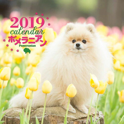 ISBN 9784416918302 ポメラニアンカレンダー ２０１９年/誠文堂新光社/中村陽子 誠文堂新光社 本・雑誌・コミック 画像