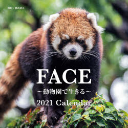 ISBN 9784416920657 大判カレンダーＦＡＣＥ～動物園で生きる～Ｃａｌｅｎｄａｒ  ２０２１年 /誠文堂新光社/勝倉崚太 誠文堂新光社 本・雑誌・コミック 画像