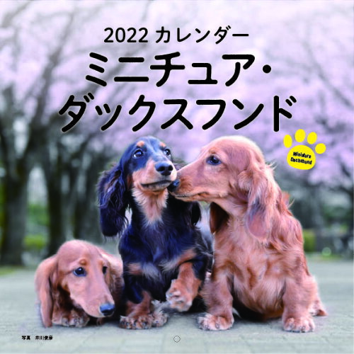 ISBN 9784416921098 ミニチュア・ダックスフンドカレンダー  ２０２２ /誠文堂新光社/井川俊彦 誠文堂新光社 本・雑誌・コミック 画像