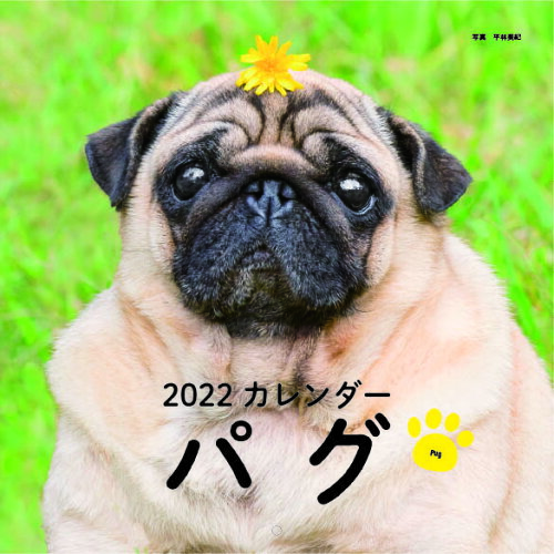 ISBN 9784416921128 パグカレンダー  ２０２２ /誠文堂新光社/平林美紀 誠文堂新光社 本・雑誌・コミック 画像