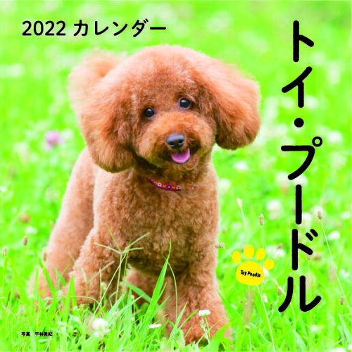 ISBN 9784416921135 トイ・プードルカレンダー  ２０２２ /誠文堂新光社/平林美紀 誠文堂新光社 本・雑誌・コミック 画像