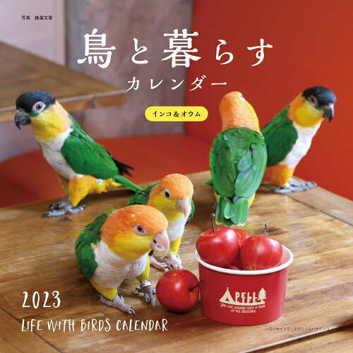 ISBN 9784416922446 鳥と暮らすインコ＆オウムカレンダー  ２０２３ /誠文堂新光社/蜂巣文香 誠文堂新光社 本・雑誌・コミック 画像