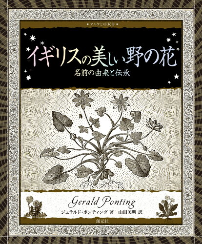 ISBN 9784422215556 イギリスの美しい野の花 創元社（大阪） 本・雑誌・コミック 画像