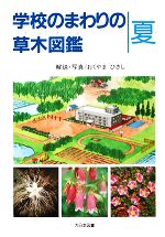 ISBN 9784477006420 学校のまわりの草木図鑑  夏 /大日本図書/おくやまひさし 大日本図書 本・雑誌・コミック 画像