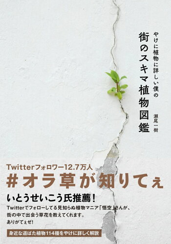 ISBN 9784479393597 やけに植物に詳しい僕の街のスキマ植物図鑑   /大和書房/瀬尾一樹 大和書房 本・雑誌・コミック 画像