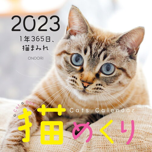 ISBN 9784502905414 猫めくり １年３６５日、猫まみれ ２０２３ /中央経済社 中央経済社 本・雑誌・コミック 画像