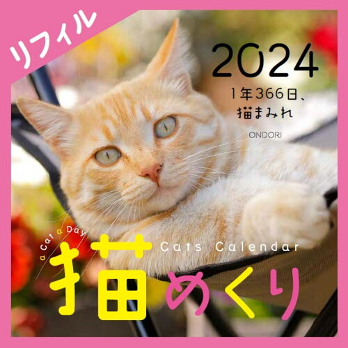 ISBN 9784502906619 Ｃａｔｓ　Ｃａｌｅｎｄａｒ猫めくりリフィル １年３６６日、猫まみれ ２０２４/中央経済社 中央経済社 本・雑誌・コミック 画像