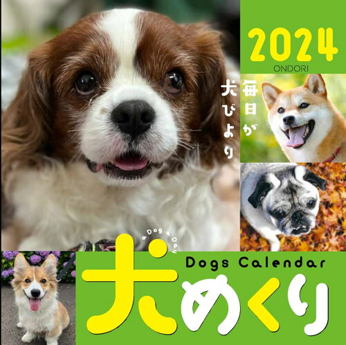 ISBN 9784502906718 Dogs Calendar犬めくり 毎日が犬びより 2024/中央経済社 中央経済社 本・雑誌・コミック 画像