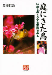 ISBN 9784540991486 庭にきた鳥 いのちのドラマを家族でみる  /農山漁村文化協会/佐藤信治 農山漁村文化協会 本・雑誌・コミック 画像