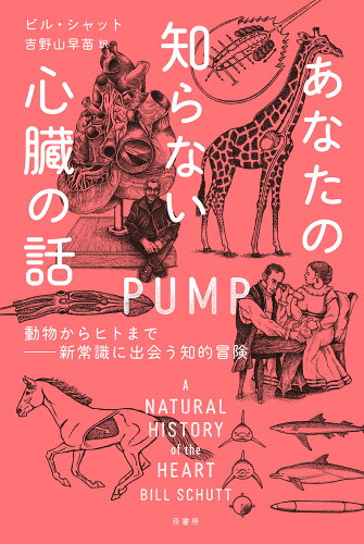 ISBN 9784562071494 あなたの知らない心臓の話 動物からヒトまで-新常識に出会う知的冒険  /原書房/ビル・シャット 原書房 本・雑誌・コミック 画像