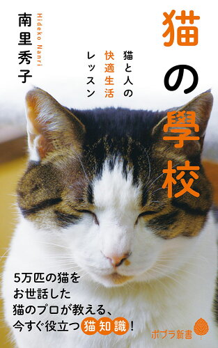 ISBN 9784591153208 猫の學校 猫と人の快適生活レッスン  /ポプラ社/南里秀子 ポプラ社 本・雑誌・コミック 画像