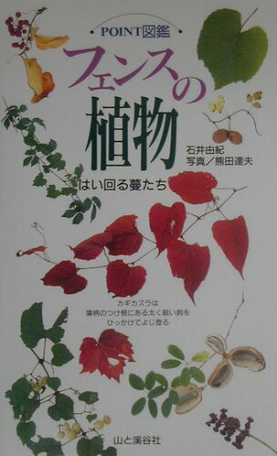 ISBN 9784635063012 フェンスの植物 はい回る蔓たち  /山と渓谷社/石井由紀 山と渓谷社 本・雑誌・コミック 画像