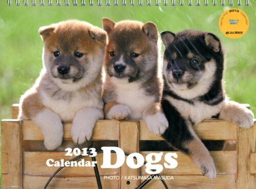 ISBN 9784635842396 Ｄｏｇｓいぬカレンダ-  ２０１３ /山と渓谷社 山と渓谷社 本・雑誌・コミック 画像