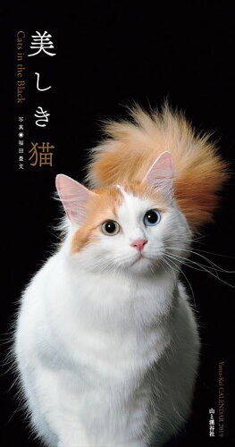 ISBN 9784635853613 美しき猫カレンダー Ｃａｔｓ　ｉｎ　ｔｈｅ　Ｂｌａｃｋ/山と渓谷社 山と渓谷社 本・雑誌・コミック 画像