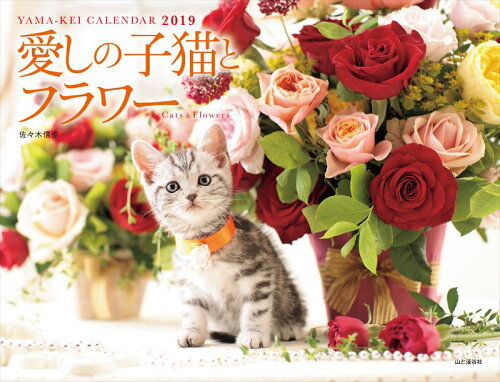 ISBN 9784635853699 愛しの子猫とフラワーカレンダー CATS ＆ FLOWERS 2019/山と渓谷社 山と渓谷社 本・雑誌・コミック 画像