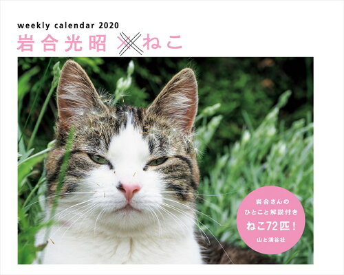 ISBN 9784635854610 岩合光昭×ねこカレンダー  ２０２０ /山と渓谷社 山と渓谷社 本・雑誌・コミック 画像