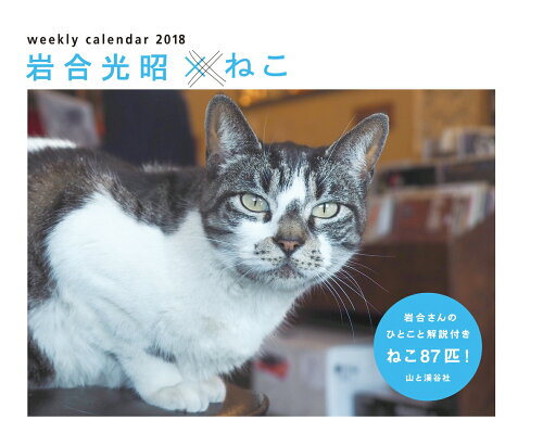 ISBN 9784635855570 岩合光昭×ねこカレンダー   /山と渓谷社 山と渓谷社 本・雑誌・コミック 画像