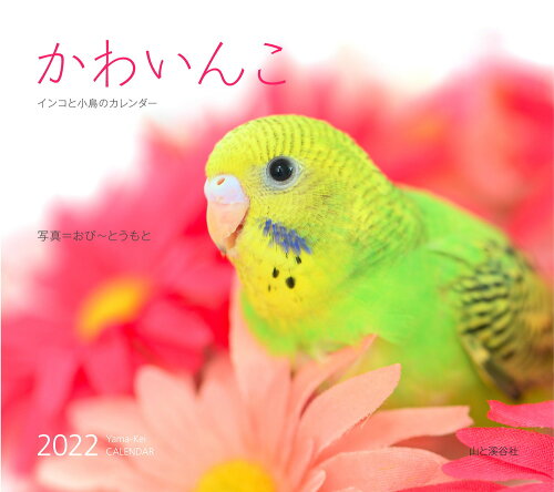 ISBN 9784635857956 かわいんこ　インコと小鳥のカレンダー  ２０２２ /山と渓谷社 山と渓谷社 本・雑誌・コミック 画像