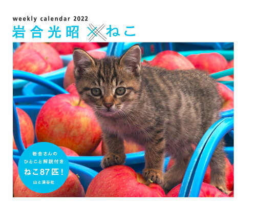 ISBN 9784635858229 岩合光昭×ねこカレンダー  ２０２２ /山と渓谷社 山と渓谷社 本・雑誌・コミック 画像