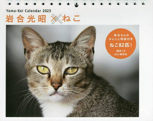 ISBN 9784635860529 岩合光昭×ねこカレンダー  ２０２３ /山と渓谷社 山と渓谷社 本・雑誌・コミック 画像