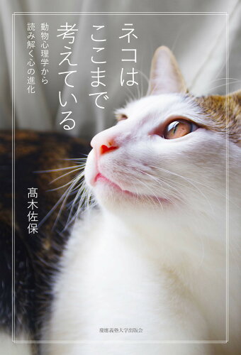 ISBN 9784766428438 ネコはここまで考えている 動物心理学から読み解く心の進化  /慶應義塾大学出版会/〓木佐保 慶応義塾大学出版会 本・雑誌・コミック 画像