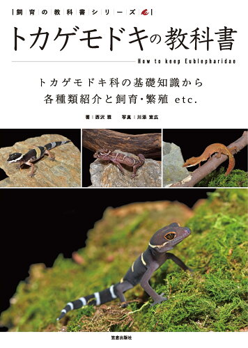 ISBN 9784773061475 トカゲモドキの教科書 トカゲモドキ科の基礎知識から各種類紹介と飼育・繁殖/笠倉出版社/西沢雅 笠倉出版社 本・雑誌・コミック 画像