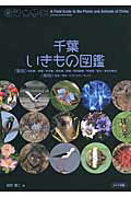 ISBN 9784780413359 千葉いきもの図鑑   /メイツ出版/前田信二 メイツ出版 本・雑誌・コミック 画像