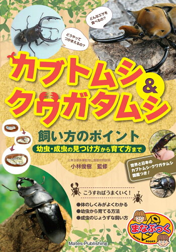 ISBN 9784780420500 カブトムシ＆クワガタムシ飼い方のポイント 幼虫・成虫の見つけ方から育て方まで  /メイツ出版/小林俊樹 メイツ出版 本・雑誌・コミック 画像