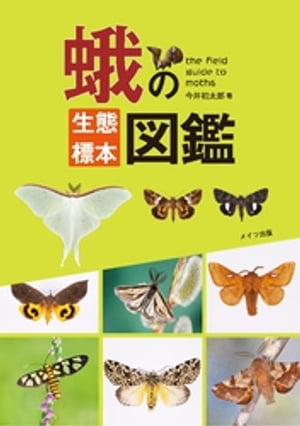 ISBN 9784780423358 蛾の生態標本図鑑   /メイツ出版/今井初太郎 メイツ出版 本・雑誌・コミック 画像