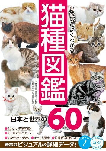 ISBN 9784780425703 いちばんよくわかる猫種図鑑日本と世界の６０種   /メイツ出版/長谷川諒 メイツ出版 本・雑誌・コミック 画像