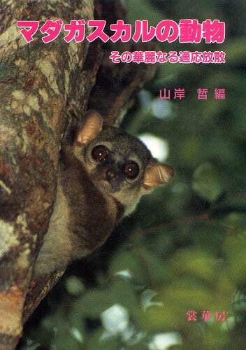 ISBN 9784785350406 マダガスカルの動物 その華麗なる適応放散  /裳華房/山岸哲 裳華房 本・雑誌・コミック 画像