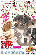 ISBN 9784785930240 ねこぱんち ２５（二周年号）/少年画報社 少年画報社 本・雑誌・コミック 画像