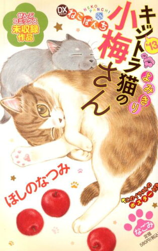 ISBN 9784785951313 デラックスねこぱんちキジトラ猫の小梅さん ’13/少年画報社/ほしのなつみ 少年画報社 本・雑誌・コミック 画像