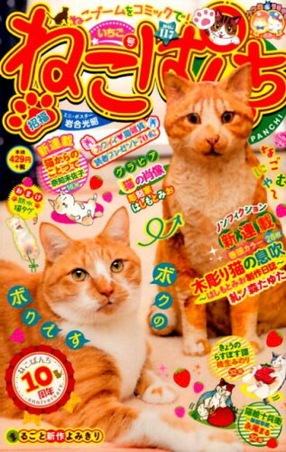 ISBN 9784785957735 ねこぱんち 117（いちご号）/少年画報社 少年画報社 本・雑誌・コミック 画像