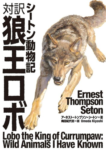 ISBN 9784794605511 対訳狼王ロボ シートン動物記  /ＩＢＣパブリッシング/ア-ネスト・トムソン・シ-トン ＩＢＣパブリッシング 本・雑誌・コミック 画像