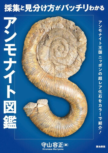 ISBN 9784806716402 採集と見分け方がバッチリわかるアンモナイト図鑑   /築地書館/守山容正 築地書館 本・雑誌・コミック 画像